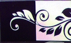 詩(shī)米樂(lè)怎么樣