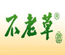 不老草白酒怎么樣