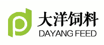 大洋怎么樣