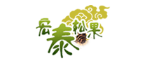 宏泰松果怎么樣