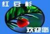 紅豆杉怎么樣