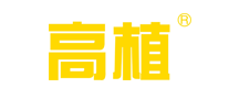 高植怎么樣
