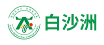 白沙洲怎么樣