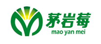 茅巖莓怎么樣