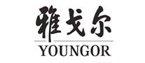 YOUNGOR雅戈?duì)栐趺礃? />
                                </div>
                                <div   id=