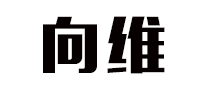 向維怎么樣