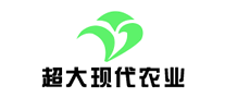 超大怎么樣