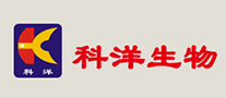科洋怎么樣