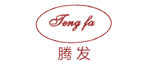 騰發(fā)TENGFA怎么樣