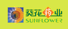 葵花怎么樣