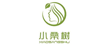 小桑樹怎么樣