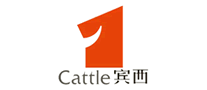 賓西怎么樣