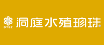 洞庭水殖珍珠怎么樣