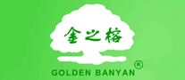 金之榕GOLDENBANYAN怎么樣