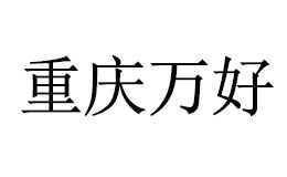 萬好科技怎么樣