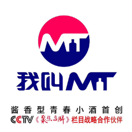 我叫MT manful teens怎么樣
