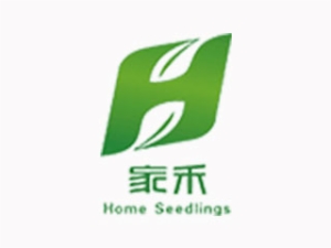 家禾家政月嫂怎么樣